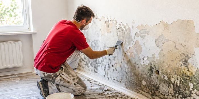 Pintor en Vigo para tratamiento de humedades